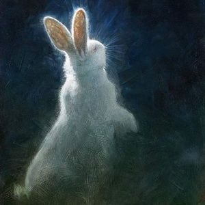 Meet your Posher, Constance